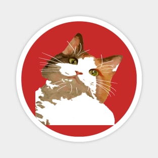 Cute Calico Cat With Tilted Head Magnet